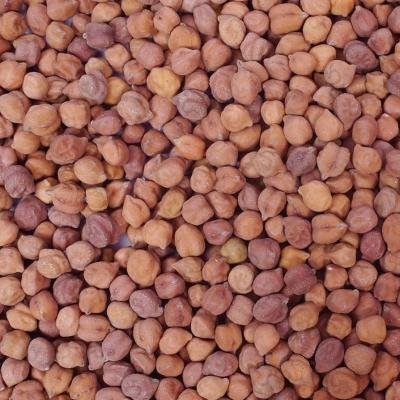 Desi Kala chana